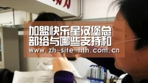 华体会app