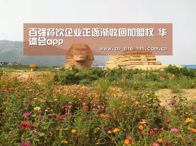 华体会app