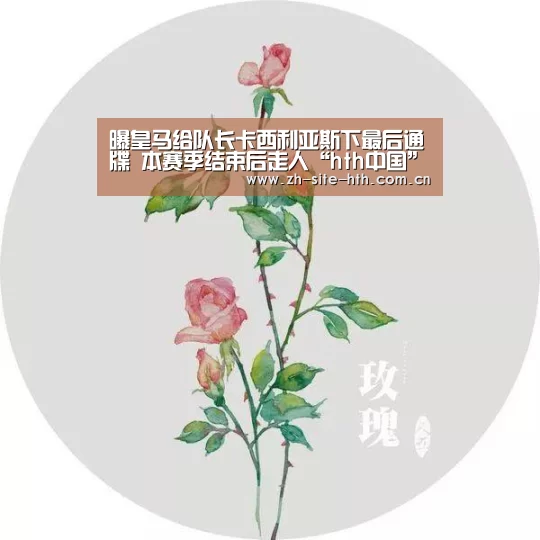 hth平台