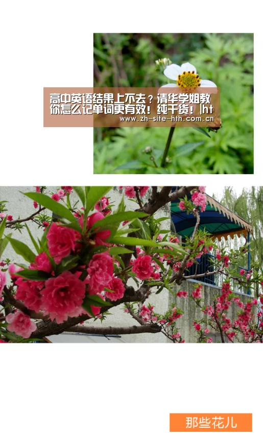 高中英语结果上不去?清华学姐教你怎么记单词更有效!纯干货!|hth中国(图1) hth平台