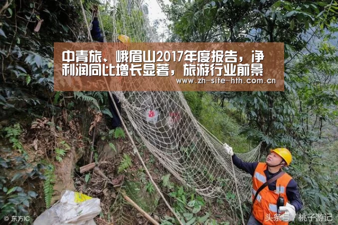 中青旅、峨眉山2017年度报告,净利润同比增长显著,旅游行业前景广阔_华体会app(图2) 华体会app