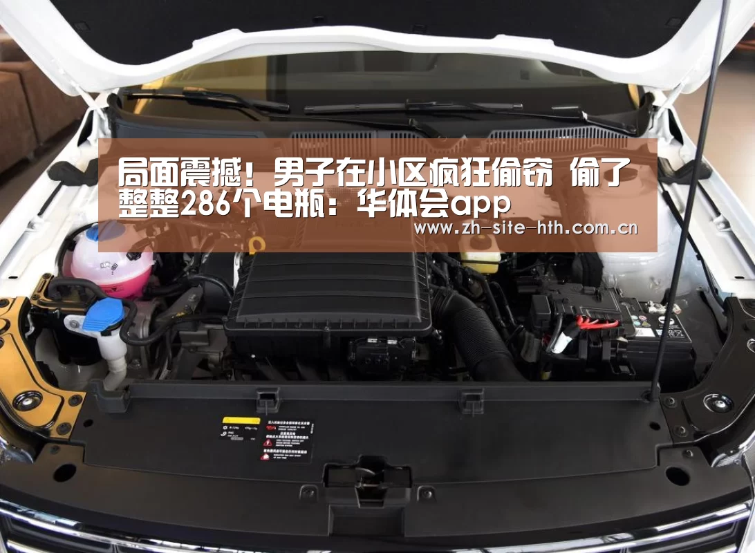 局面震撼!男子在小区疯狂偷窃 偷了整整286个电瓶:华体会app(图3) 华体会app
